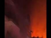 VID-20250406-WA0000.mp4